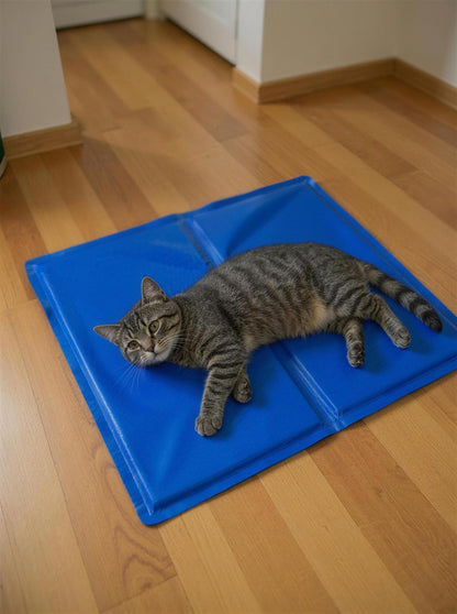 Cat stretched out on the PawFresco ChillMat on a timber floor